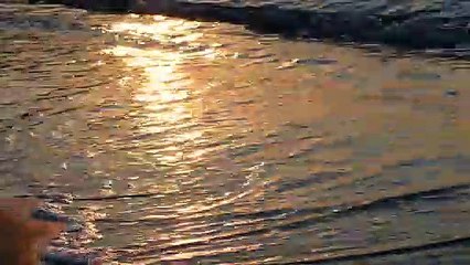 Beautiful Sea waves during sunset