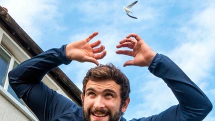 Bricklayer 'lives in fear' of daily aggressive 'demon' seagull attack