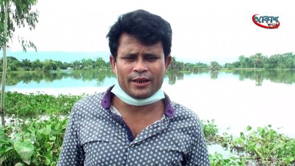 আকাশ বাণী - সুনামগঞ্জে বন্যার পানিতে ভেসে গেছে খামারিদের কোটি টাকার মাছ