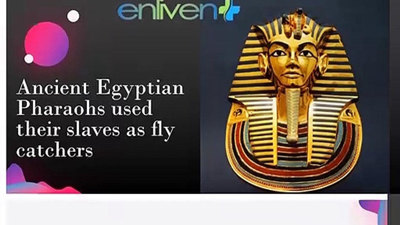 Ancient Egyptian Pharaohs used their slaves as fly catchers.