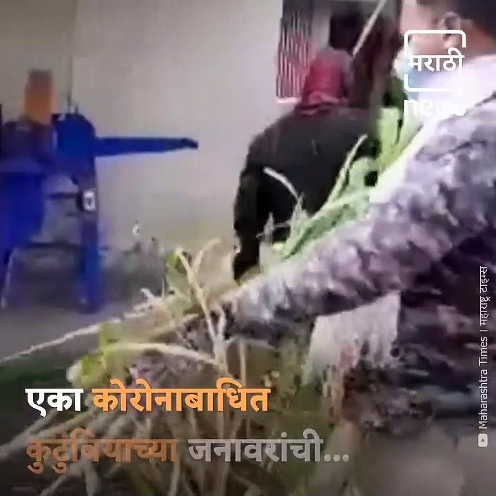 Solapur - Police Taking Care Of Corona Patient's Pets