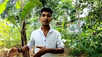 ഇമ്മിണി വലിയൊരു കല്യാണം കൂടൽ _ lockdown wedding ev(240P)_1