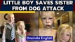 Brother saves little sister from dog attack, he's a real superhero!| Oneindia News