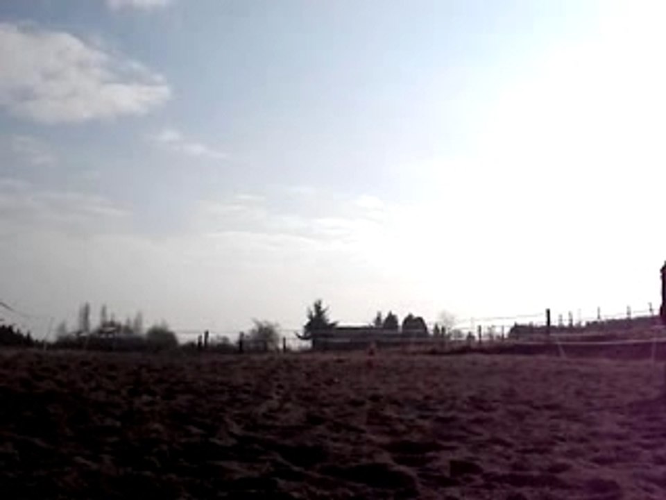ordre vocal 'galop'
