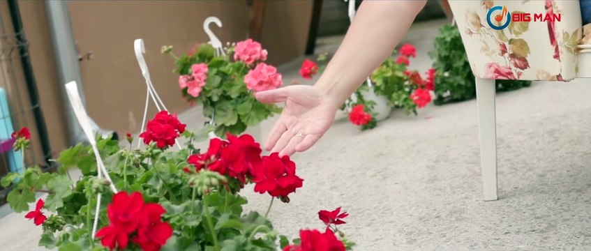 NICOLAE GUȚĂ - Am Desenat Fericirea [VIDEOCLIP OFICIAL 2020]