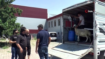 Kayseri’de Ayasofya için kurban kesildi