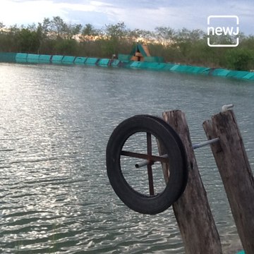 Water Bank : Arun Deshpande's Collective Water Management Project Helps Many Farmers