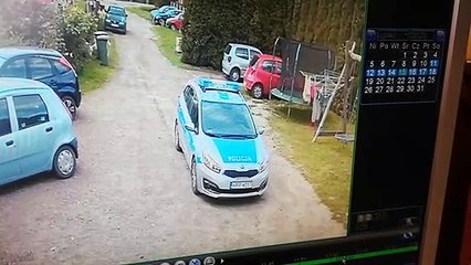 Kwarantanna - Kolejna wizyta psów