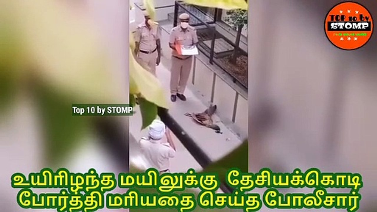 Police wrap dead national peacock in national flag