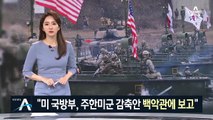 “美 국방부, 주한미군 감축안 백악관 보고”…한미 외교 우려