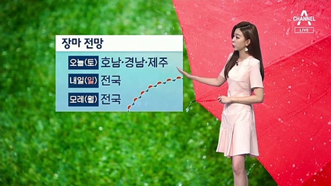 [날씨]내일 장맛비 전국 확대…한낮 기온 서울 25도