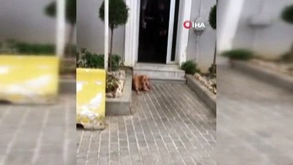 12 yıl önce şehit edilen Serkan Dağ'ın katil zanlılarından biri yakalandı