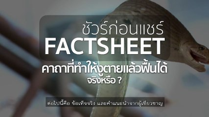 ชัวร์ก่อนแชร์ FACTSHEET : คาถาที่ทำให้งูตายแล้วฟื้น จริงหรือ?