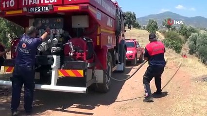 Aydın’da 4 dönüm zeytinlik alan yangında zarar gördü