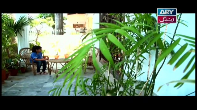 Tootay Huway Taray – Episode 243 & 244 – ARY Zindagi Drama