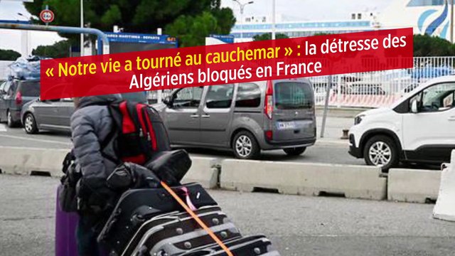 « Notre vie a tourné au cauchemar » : la détresse des Algériens bloqués en France
