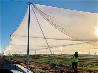 Ce maraicher a une technique très spéciale pour arroser ses champs