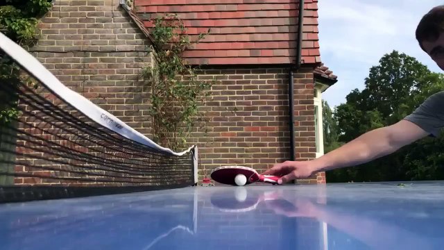 Quand un chien arbitre un match de ping-pong