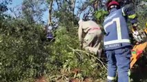 Homem quase tem perna amputada ao ser atingido por tronco de árvore