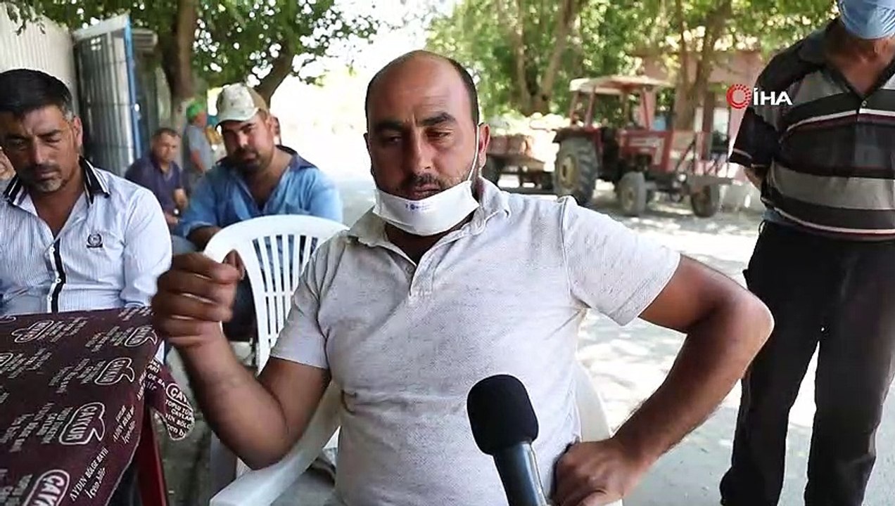 Bamya üreticisinin imdadına Aydın Büyükşehir Belediyesi yetişti