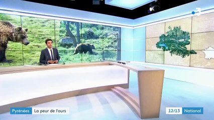 Pyrénées : la peur de l’ours