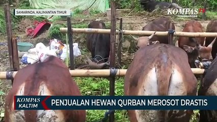 Penjualan Hewan Qurban Merosot Drastis