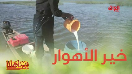 منو جرب الحليب الصافي من الأهوار قبل؟