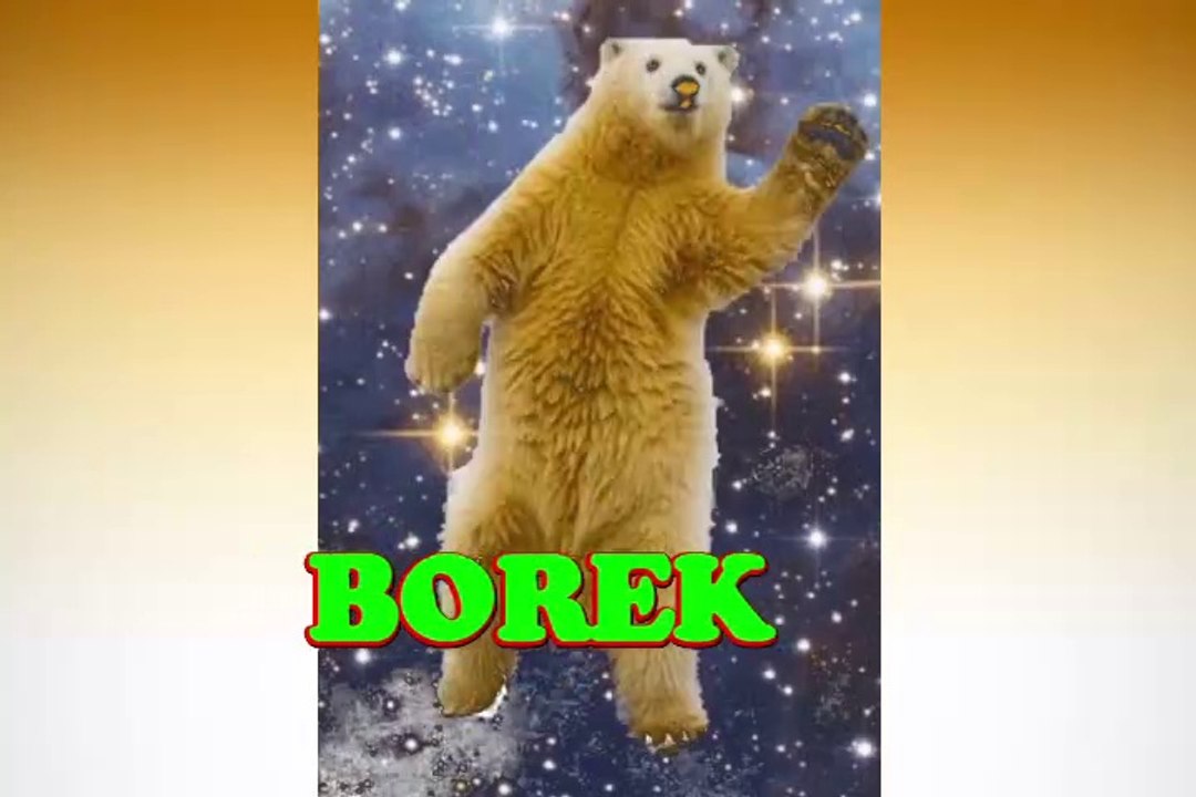 Happy Birthday Borek - Borek's Birthday Song - Borek's Birthday Party