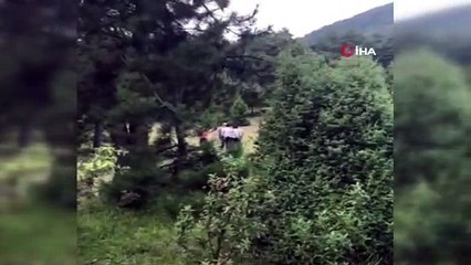 Jandarmaya saldıran şüpheli böyle yakalandı