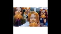 CUTE CUT VIDEOS BLACKPINK - TikTok Video Blackpink So Cute (Lucu)