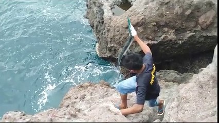 BLACKPINK--HOW YOU LIKE THAT REMIX 4K(360P)