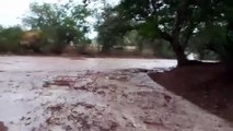 VIDEO: Alerta PC de interrupción de caminos por crecida de arroyos en El Fuerte