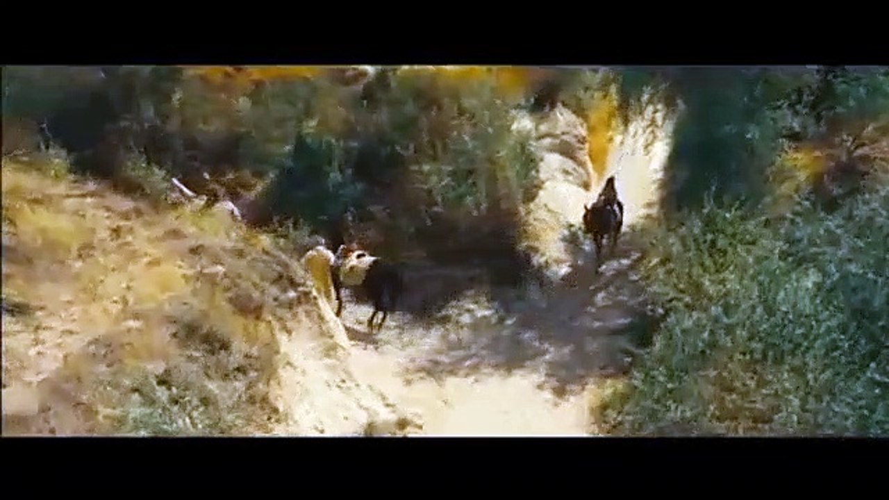 Turkish Film HITITYA-فيلم تركي سر الميدالية مترجم الجزء الثاني والاخير