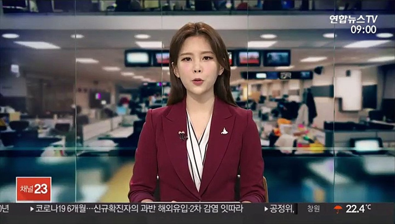 [프로축구] '일류첸코 2골' 포항, FC서울에 3대1 역전승