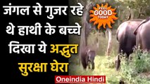 Feel Good Today : जंगल से गुजर रहे थे हाथी के बच्चे, दिखा ये अद्भुत सुरक्षा घेरा | वनइंडिया हिंदी