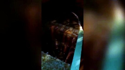 Internauta registra vídeo e faz alerta sobre bueiro sem tampa em local com baixa iluminação na Avenida Brasil