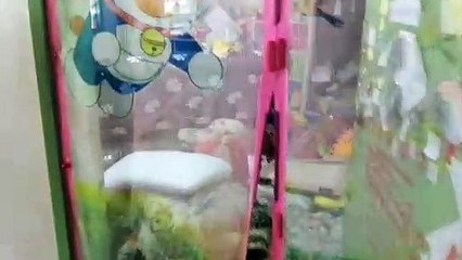 雨神袭击 加影 无拉港 水淹至胸口 26年最严重