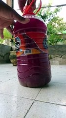 Herbal fermentasi - Probiotik