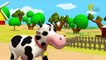 3D Farm Animals and their sounds - Learn Domestic Animals Sounds - Turtle Interactive