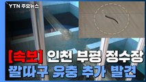 [속보] 인천 공촌에 이어 부평 정수장에서도 깔따구 유충 발견 / YTN