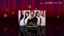 Janay wo kaise log thay Jin k pyar ko pyar mila . (Pyaray Afzal) title song
