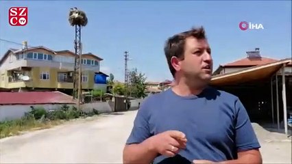 Mahallelinin 'leylek' takvimi