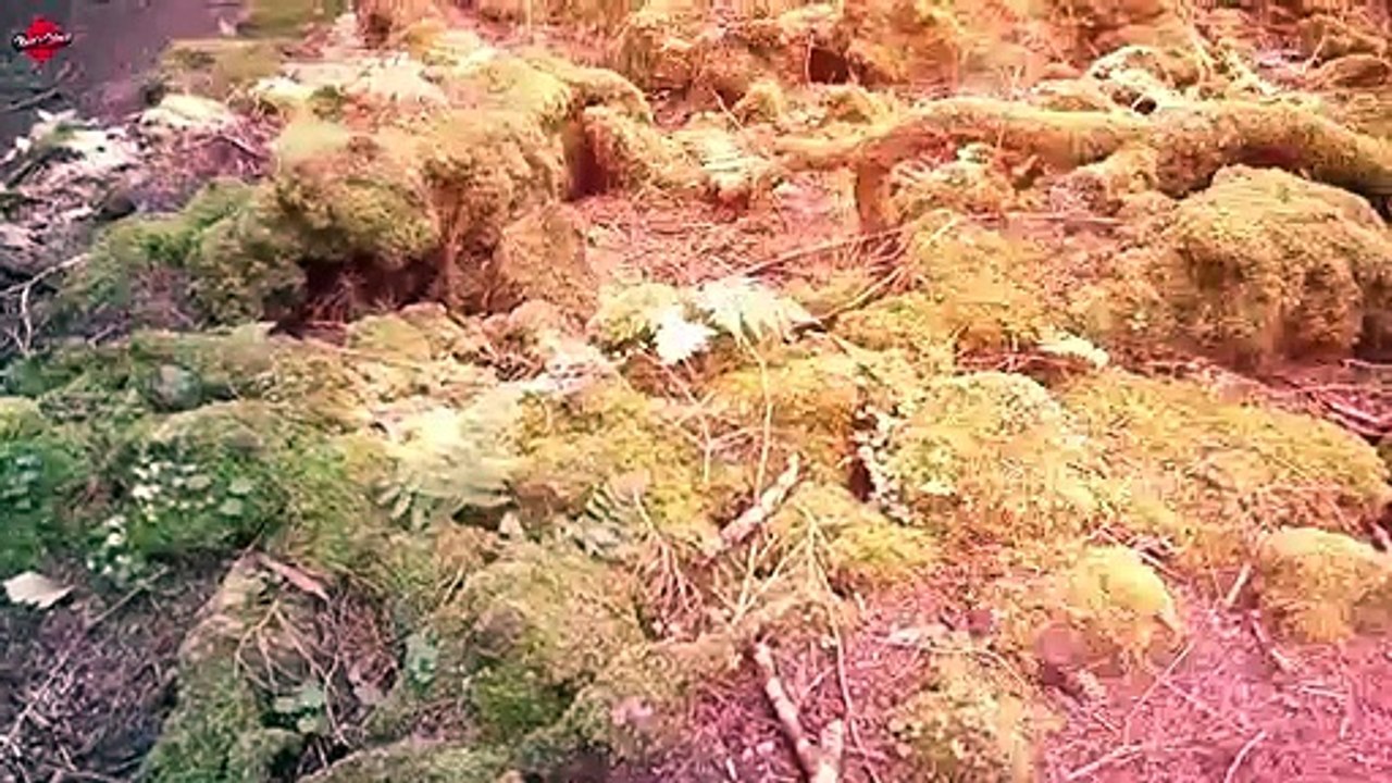 Most Dangerous Places In The World That Are Not For The Faint Hearted In 2020