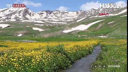 4 mevsimi bir arada yaşıyorlar