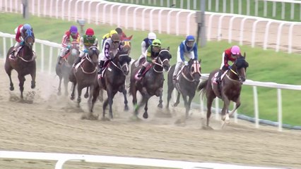 제20회 YTN배 대상경주 생중계 / YTN