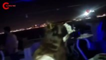 Skandal görüntüler! 21:30 itibariyle denize açılarak partiye başladılar