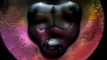 Fluid face