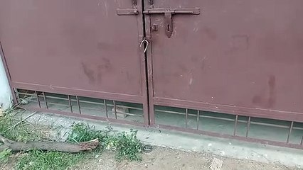 बाराबंकी: अज्ञात चोरों ने लाखों के सामान पर किया हाथ साफ