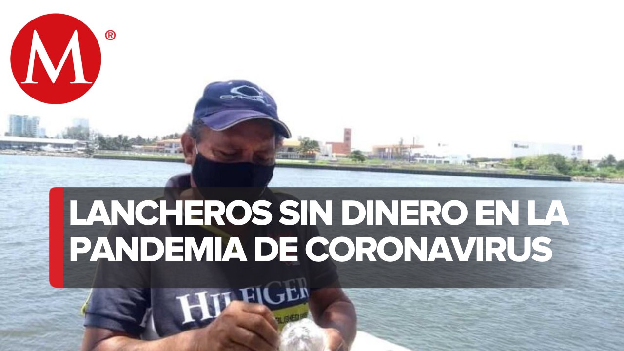 "Debo la luz, el agua y ya no sé cómo llevar comida a la casa": Lancheros en Veracruz