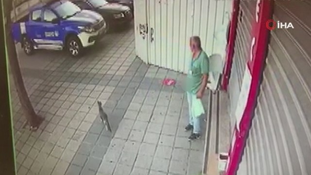 Hırsızlığın bu kadarı da pes dedirtti